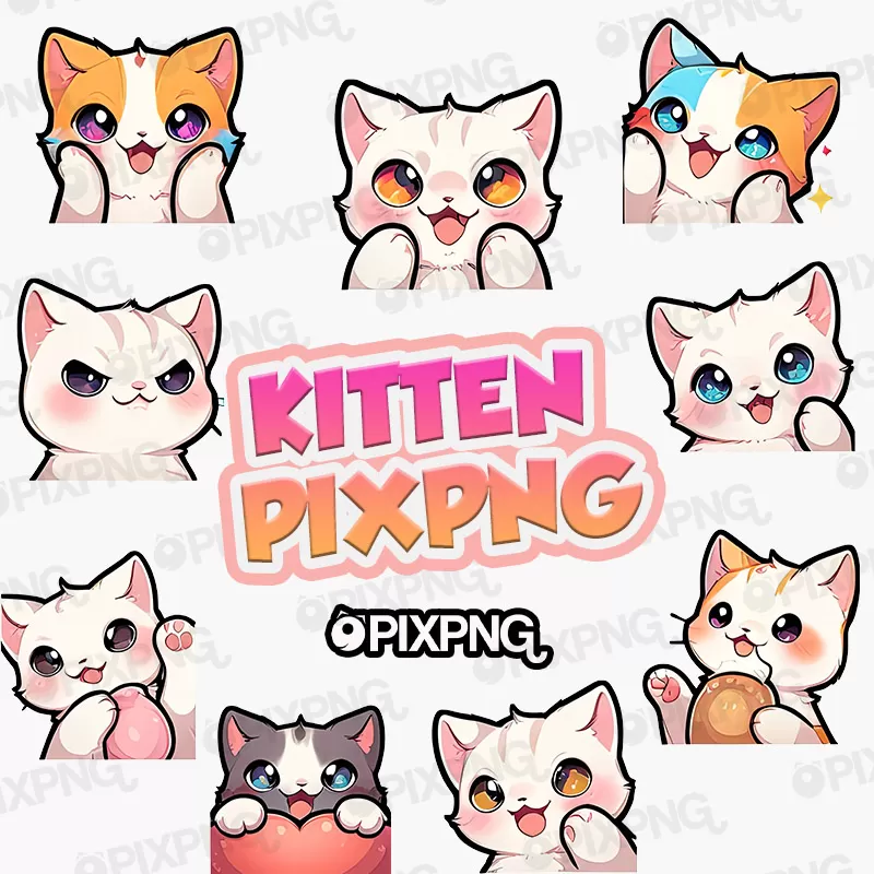 Kitten Pixpng