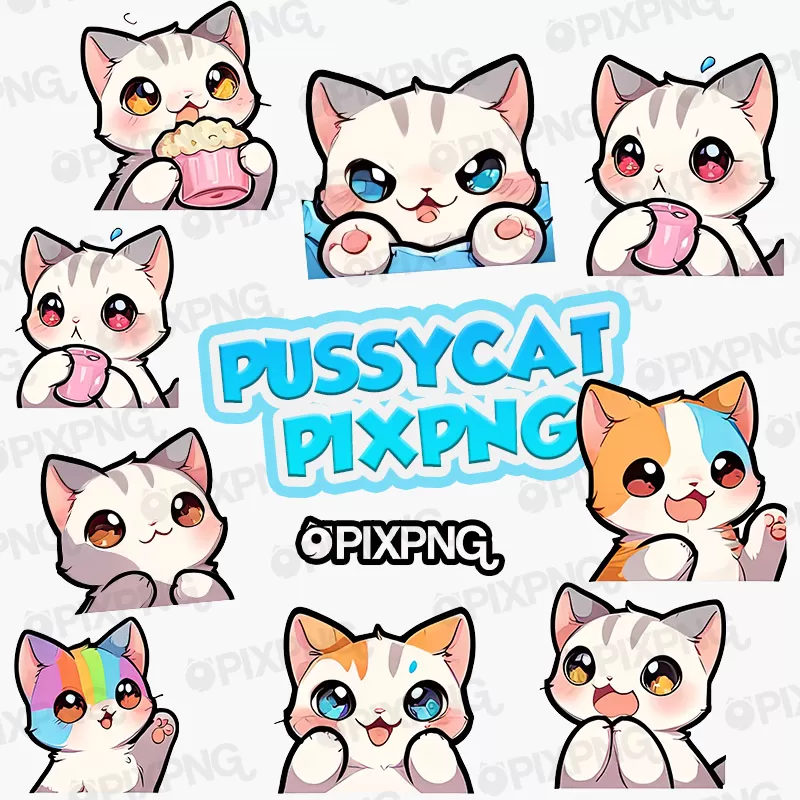 Pussy Cat Pixpng