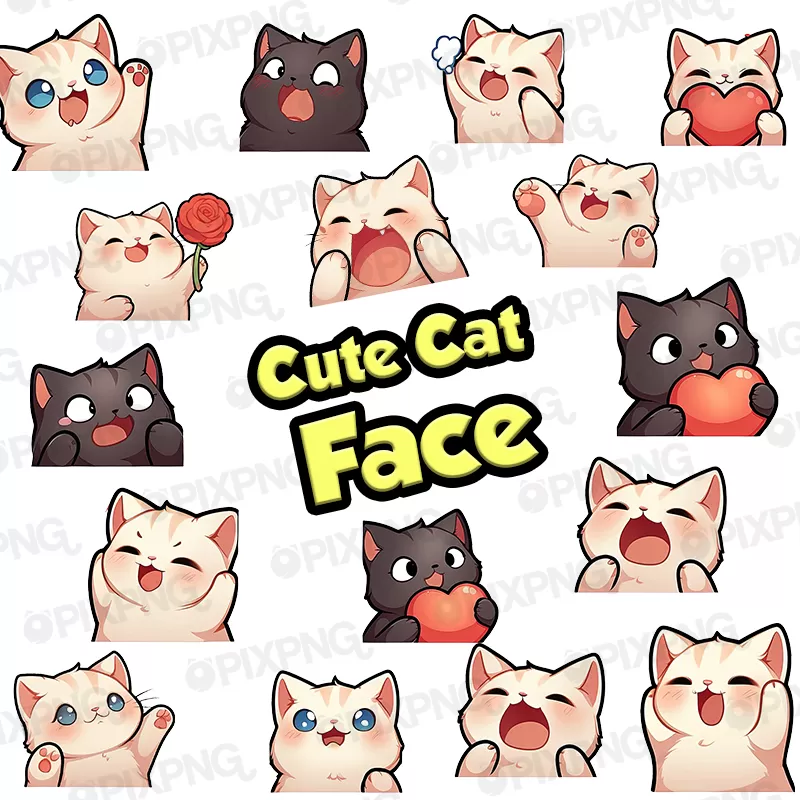 Cute Cat Face